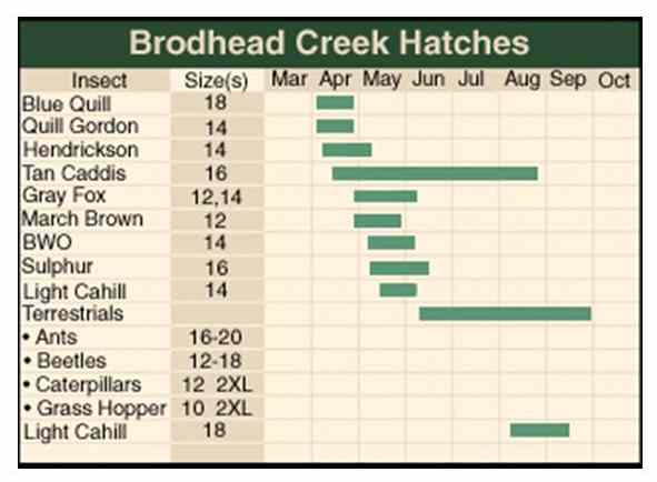 Nj Fly Hatch Chart