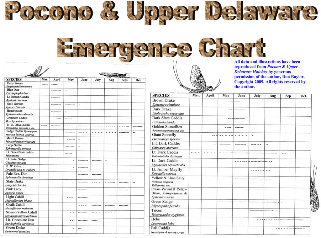 Don_Baylor_Hatch_Chart_2009