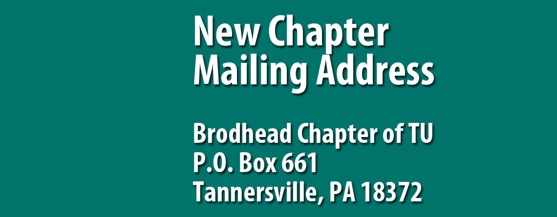 New Chapter Mailing Address