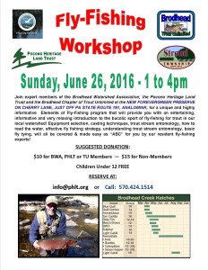 Fly Fishing Workshop