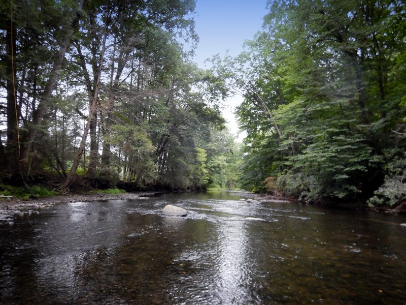 Laurel Hill Creek Hatch Chart