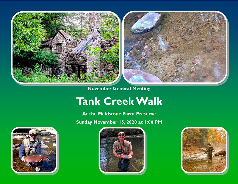 Tank Creek Walk Flyer
